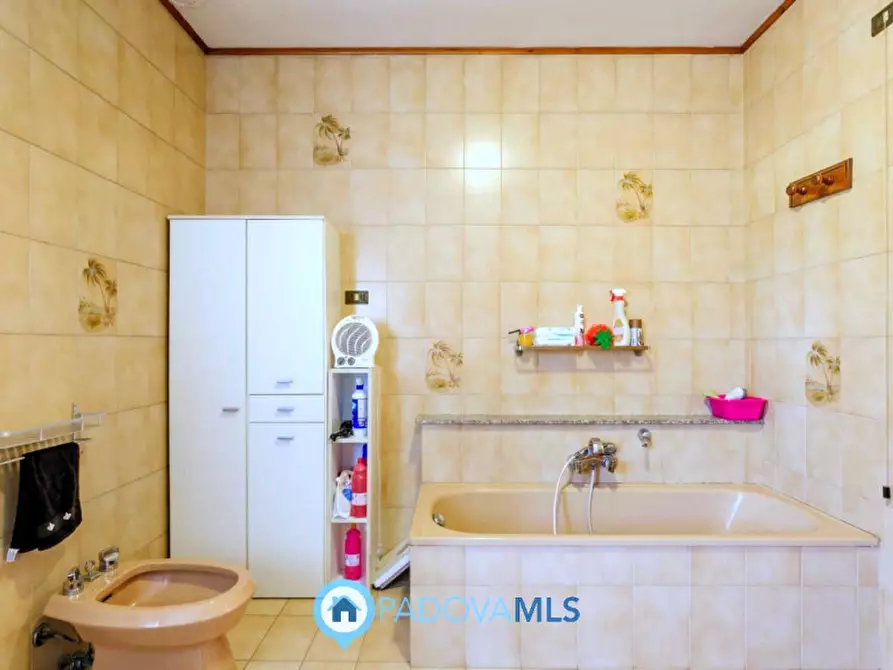 Immagine 25 di Rustico / casale in vendita  in Via Sassoni a Cinto Euganeo