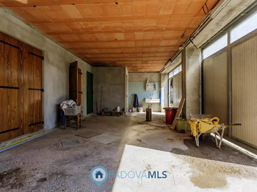 Immagine 44 di Rustico / casale in vendita  in Via Sassoni a Cinto Euganeo