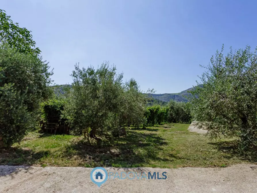 Immagine 48 di Rustico / casale in vendita  in Via Sassoni a Cinto Euganeo