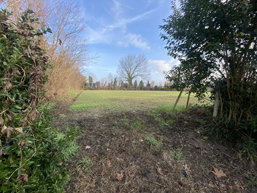 Immagine 7 di Casa indipendente in vendita  in via Xi febbraio a Legnaro