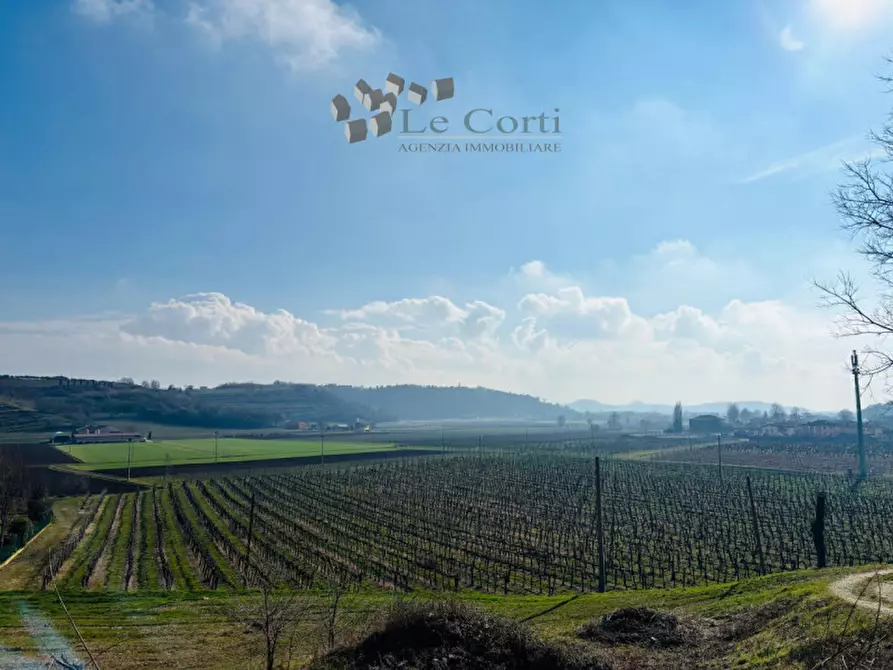 Immagine 1 di Agriturismo in vendita  a Barbarano Mossano