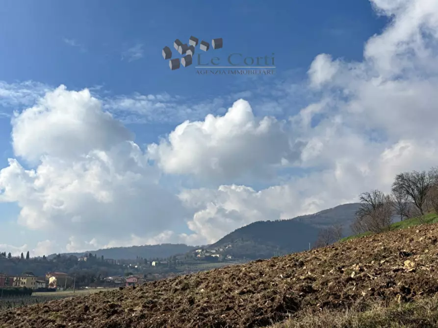 Immagine 2 di Agriturismo in vendita  a Barbarano Mossano