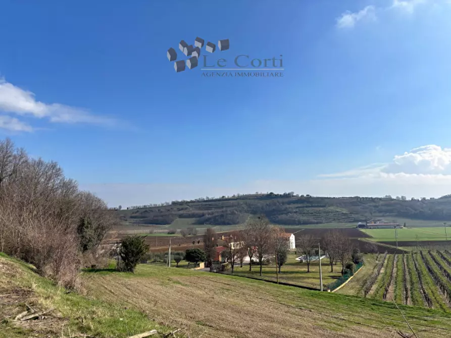 Immagine 3 di Agriturismo in vendita  a Barbarano Mossano