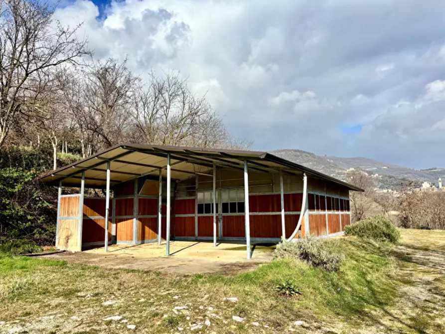 Immagine 4 di Agriturismo in vendita  a Barbarano Mossano