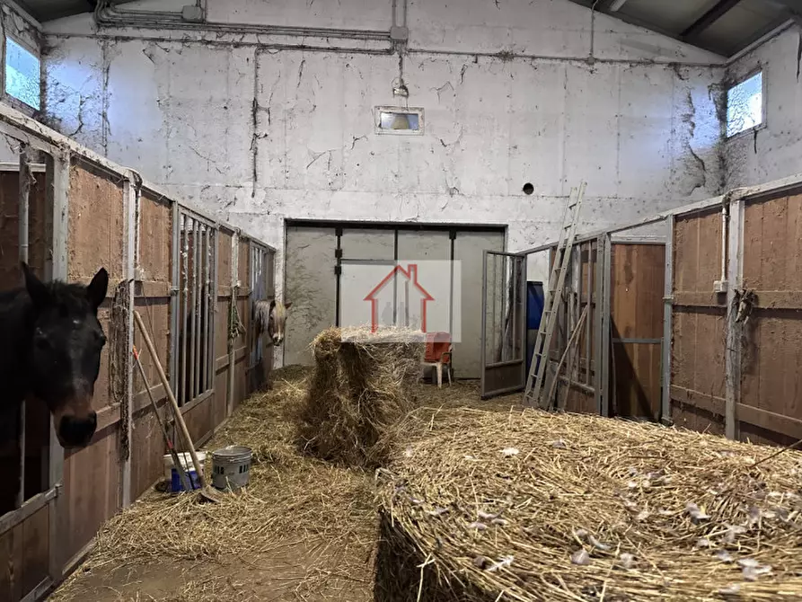 Immagine 1 di Magazzino in affitto  a Spresiano