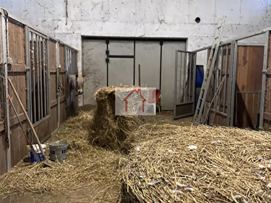 Immagine 2 di Magazzino in affitto  a Spresiano