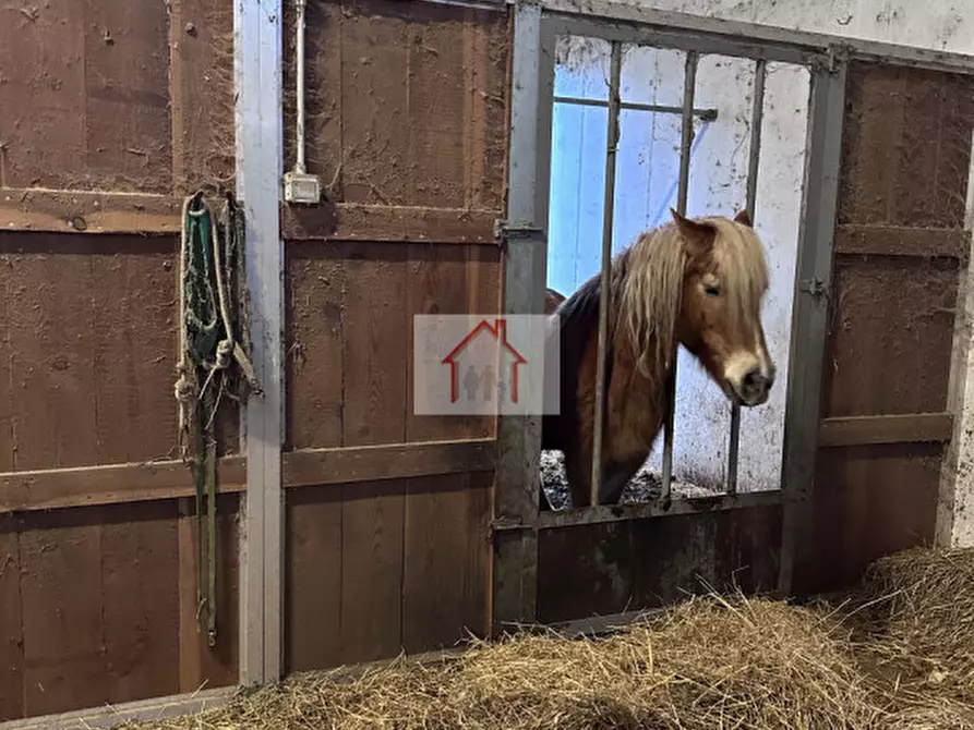 Immagine 3 di Magazzino in affitto  a Spresiano