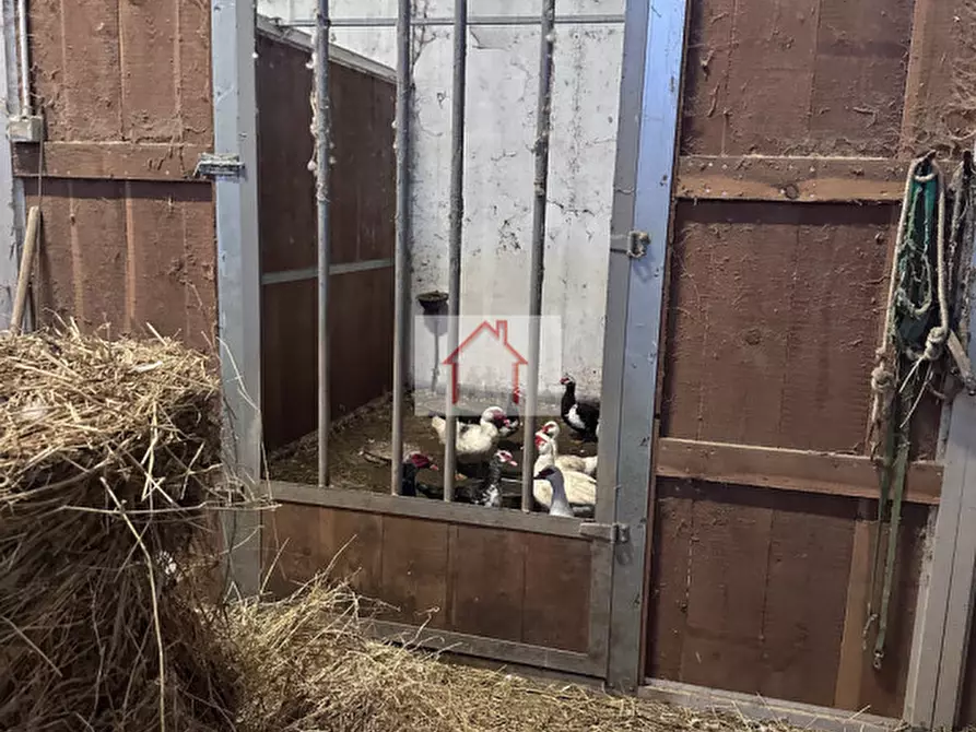 Immagine 4 di Magazzino in affitto  a Spresiano