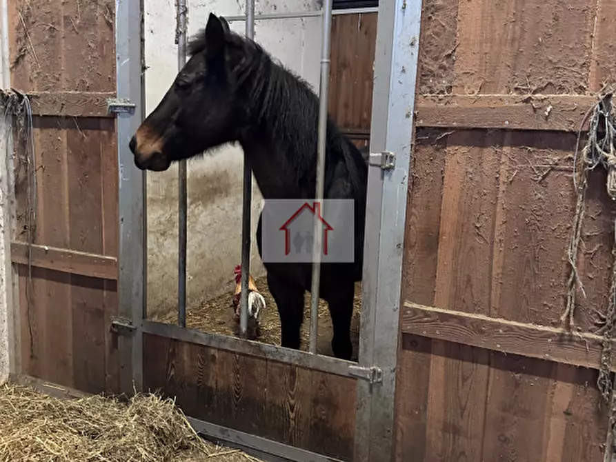 Immagine 5 di Magazzino in affitto  a Spresiano