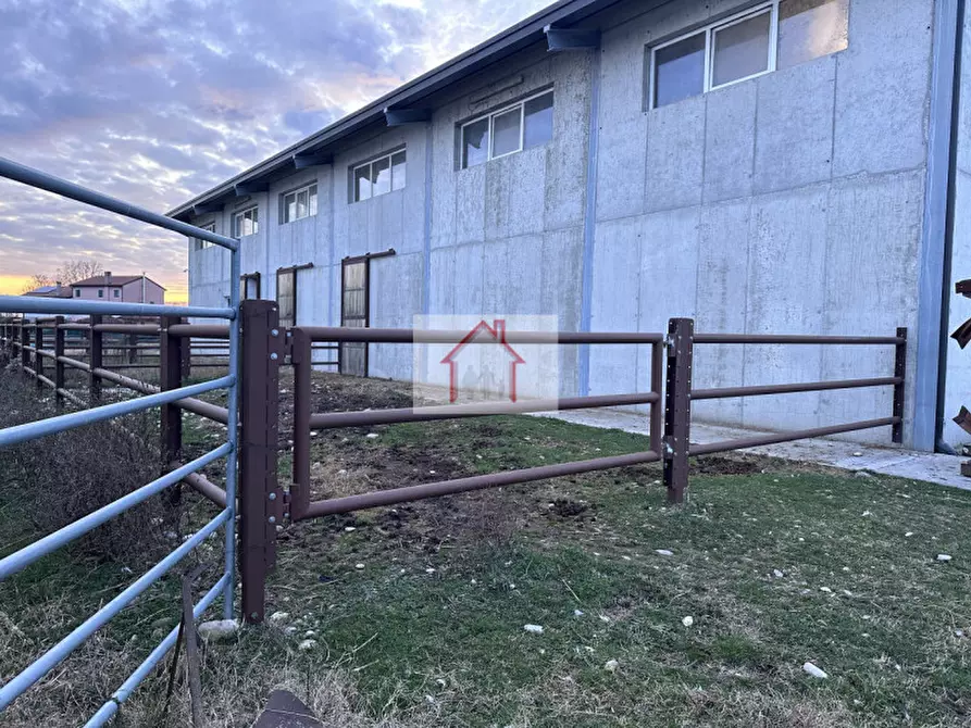 Immagine 6 di Magazzino in affitto  a Spresiano