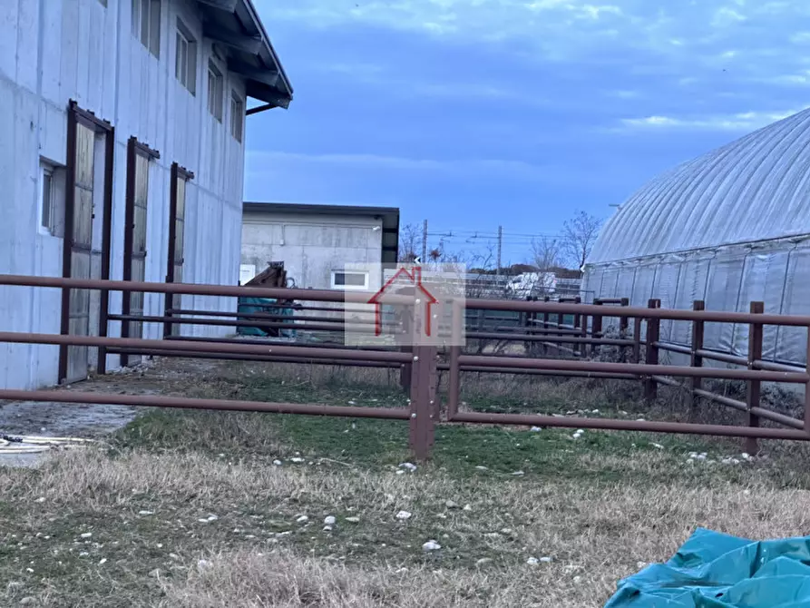 Immagine 7 di Magazzino in affitto  a Spresiano