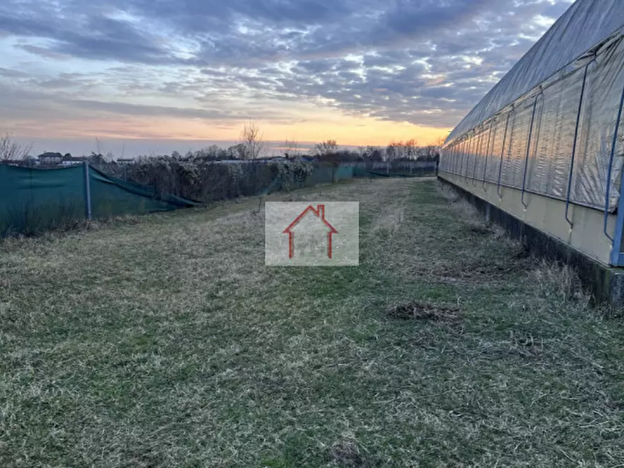 Immagine 8 di Magazzino in affitto  a Spresiano