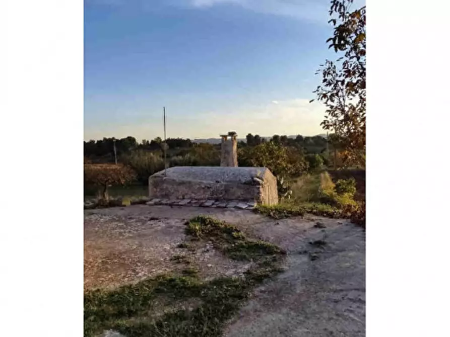 Immagine 15 di Rustico / casale in vendita  in C.da Buggello a Ostuni