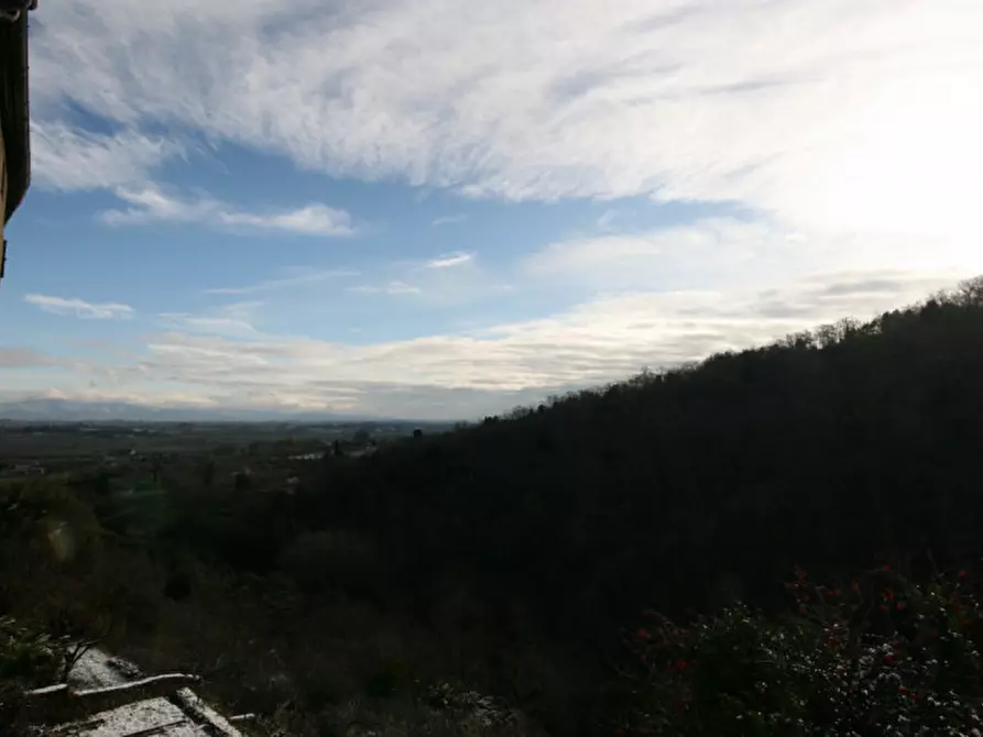 Immagine 10 di Appartamento in vendita  a Sinalunga