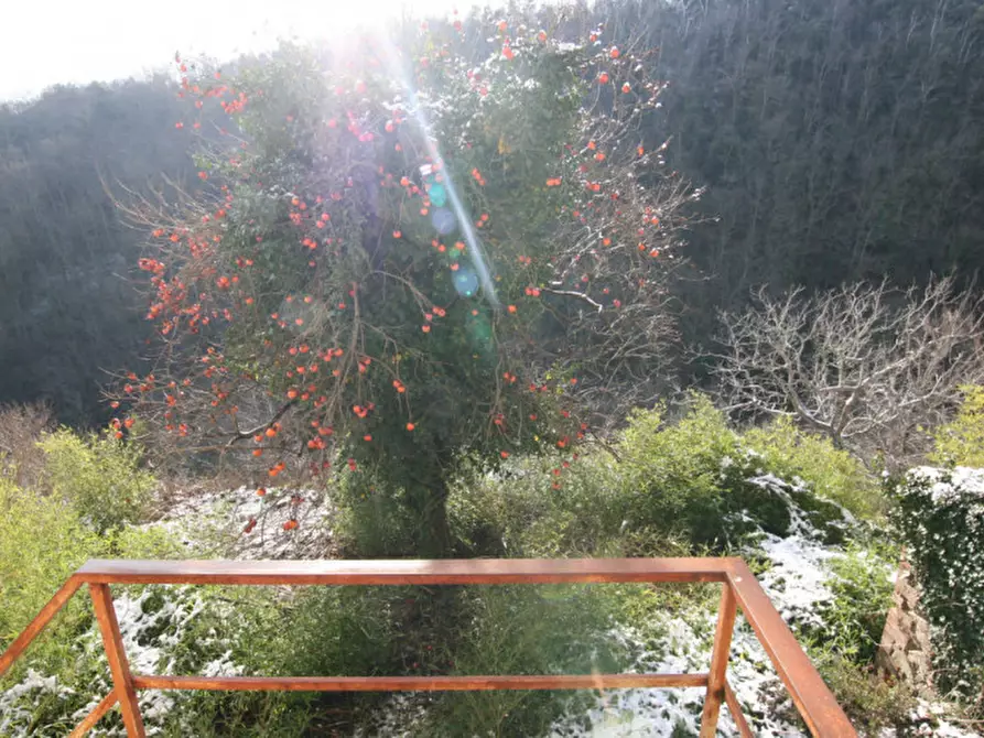 Immagine 19 di Appartamento in vendita  a Sinalunga