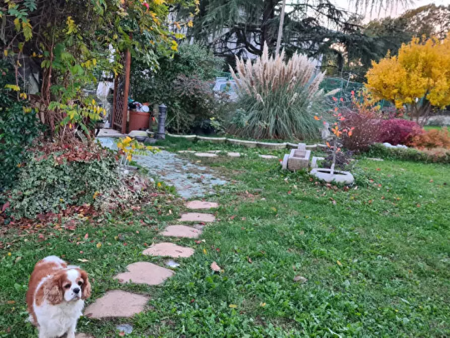 Immagine 2 di Terreno in vendita  in costabissara monteviale a Costabissara