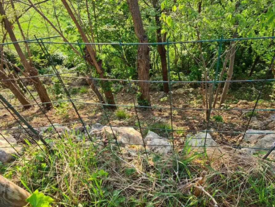Immagine 7 di Terreno in vendita  in costabissara monteviale a Costabissara