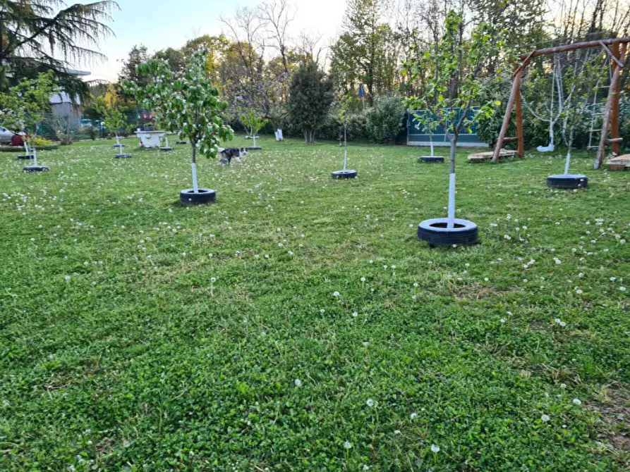 Immagine 9 di Terreno in vendita  in costabissara monteviale a Costabissara