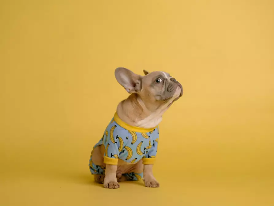 Immagine 1 di Agriturismo in vendita  in Via Cremona 64 a Brescia