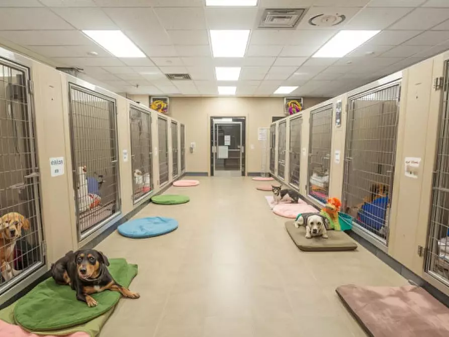 Immagine 5 di Agriturismo in vendita  in Via Cremona 64 a Brescia