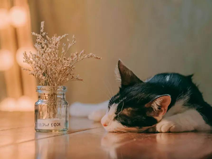 Immagine 19 di Agriturismo in vendita  in Via Cremona 64 a Brescia