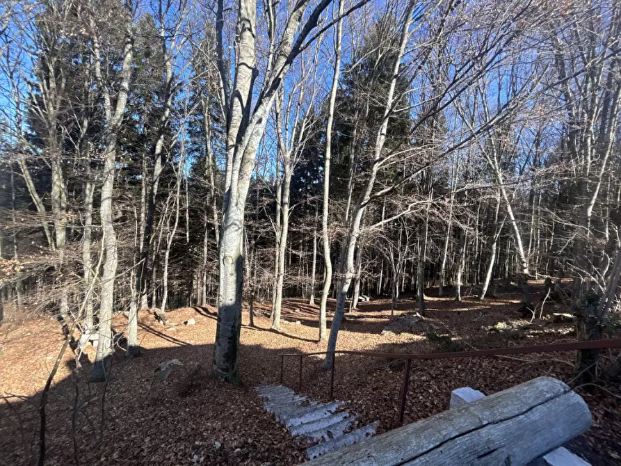 Immagine 25 di Appartamento in vendita  in via passo buole a Bosco Chiesanuova