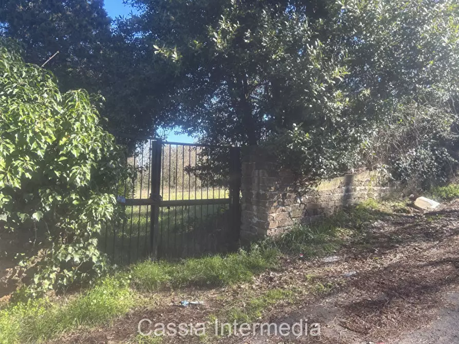 Immagine 4 di Terreno in vendita  in Va Guido Rossa 11 a Nepi