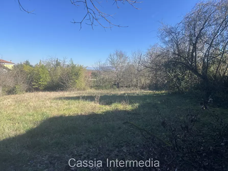 Immagine 9 di Terreno in vendita  in Va Guido Rossa 11 a Nepi