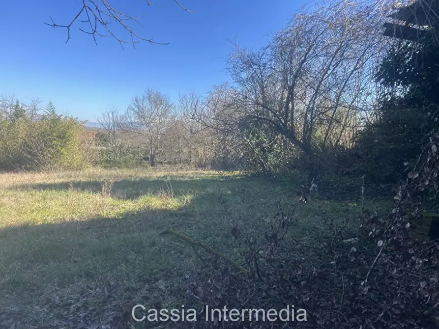 Immagine 10 di Terreno in vendita  in Va Guido Rossa 11 a Nepi