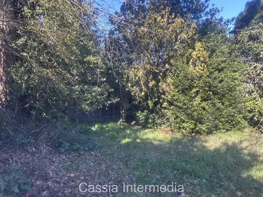 Immagine 11 di Terreno in vendita  in Va Guido Rossa 11 a Nepi