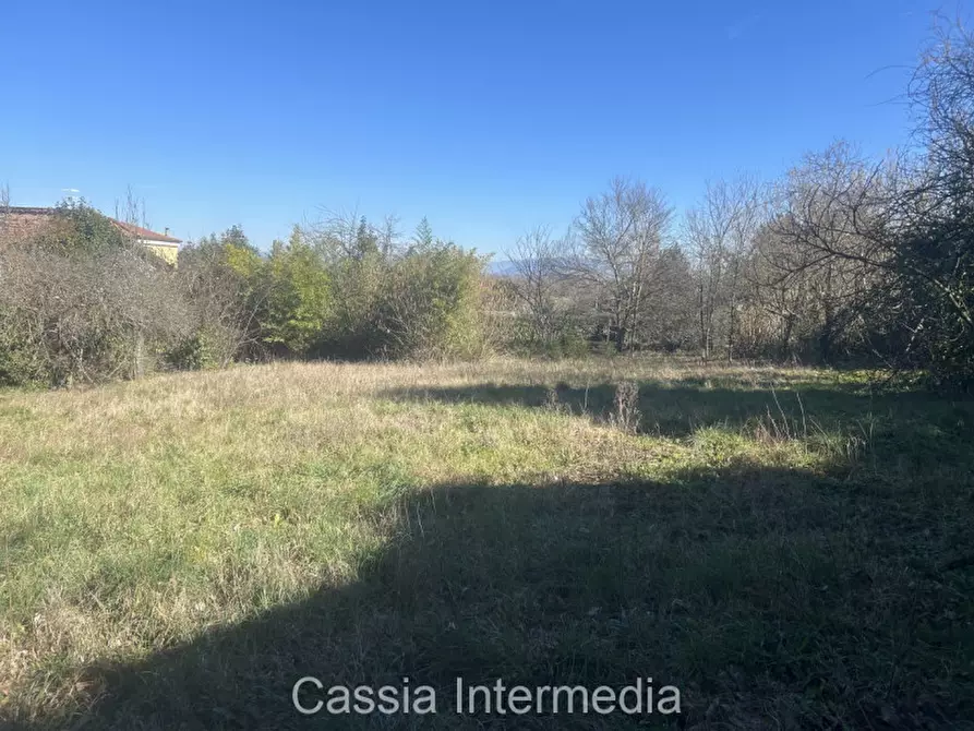 Immagine 13 di Terreno in vendita  in Va Guido Rossa 11 a Nepi