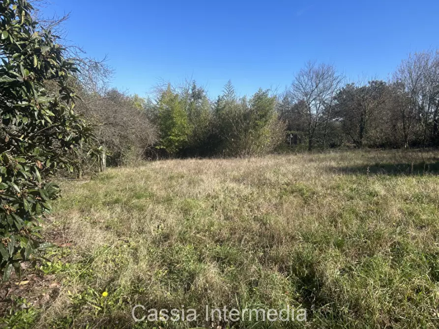 Immagine 14 di Terreno in vendita  in Va Guido Rossa 11 a Nepi