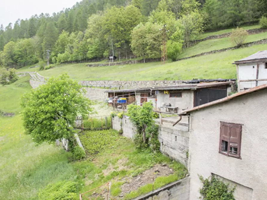 Immagine 18 di Casa indipendente in vendita  in Via Della Camocina a Commezzadura