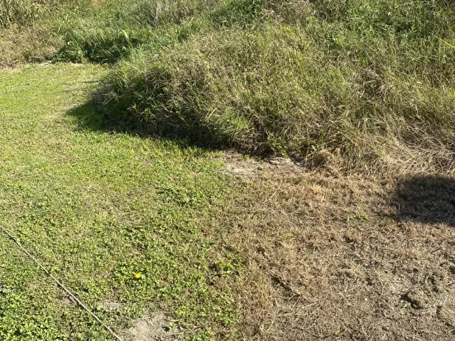 Immagine 12 di Villa in vendita  in Piove di Sacco Via Villa a Piove Di Sacco