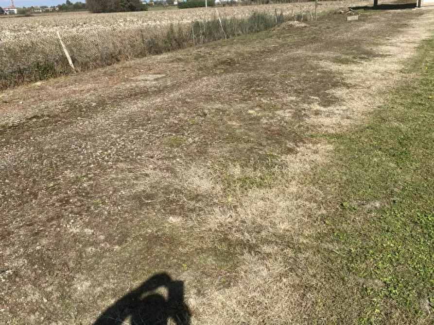 Immagine 13 di Villa in vendita  in Piove di Sacco Via Villa a Piove Di Sacco