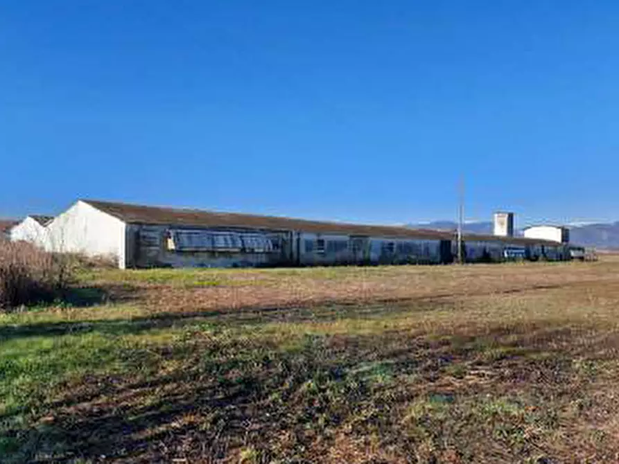 Immagine 2 di Capannone industriale in vendita  in Via Brenton, 7 a Loria