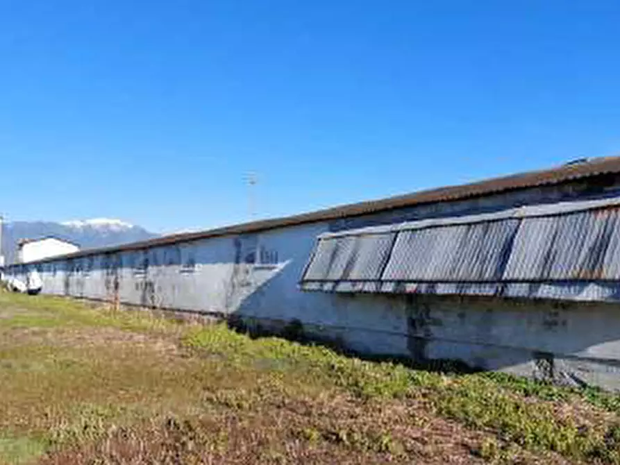 Immagine 3 di Capannone industriale in vendita  in Via Brenton, 7 a Loria
