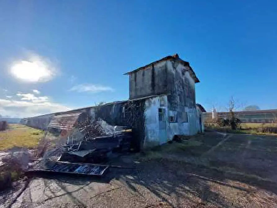 Immagine 4 di Capannone industriale in vendita  in Via Brenton, 7 a Loria