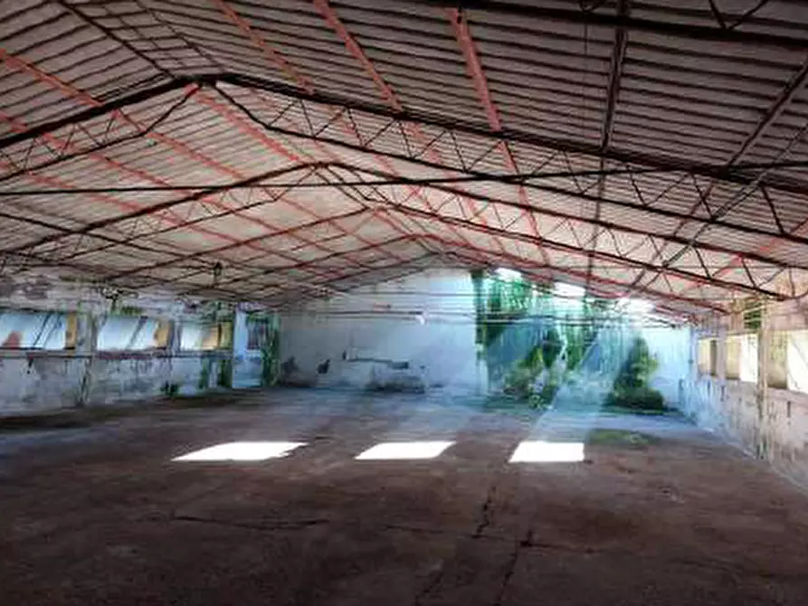 Immagine 7 di Capannone industriale in vendita  in Via Brenton, 7 a Loria