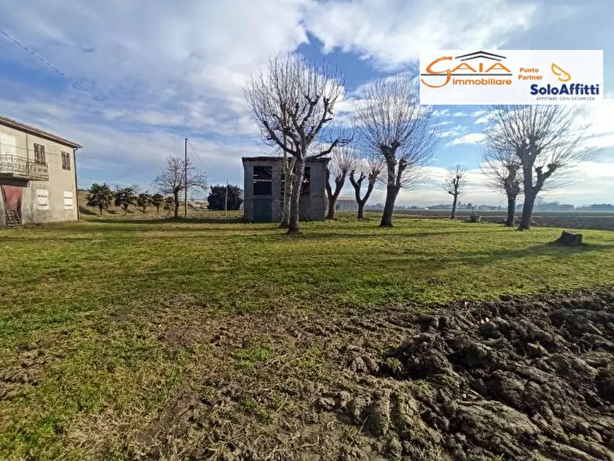 Immagine 5 di Rustico / casale in vendita  a Cartura