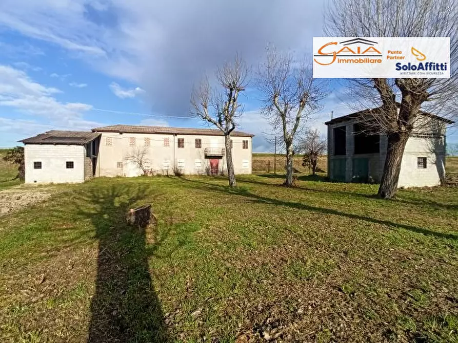 Immagine 6 di Rustico / casale in vendita  a Cartura