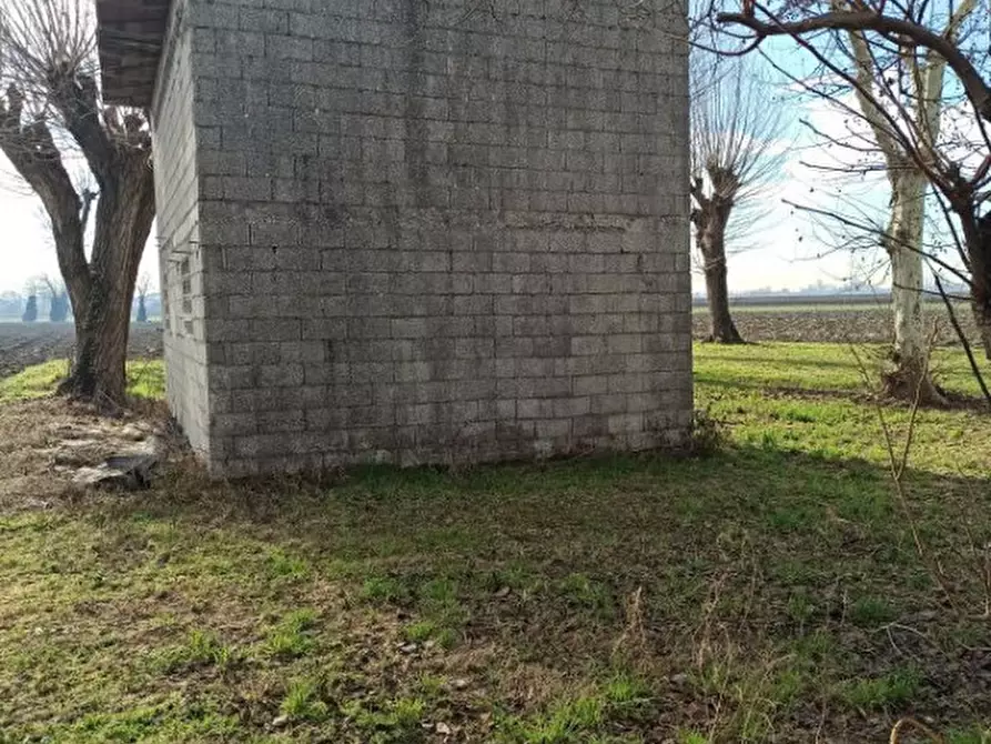 Immagine 9 di Rustico / casale in vendita  a Cartura