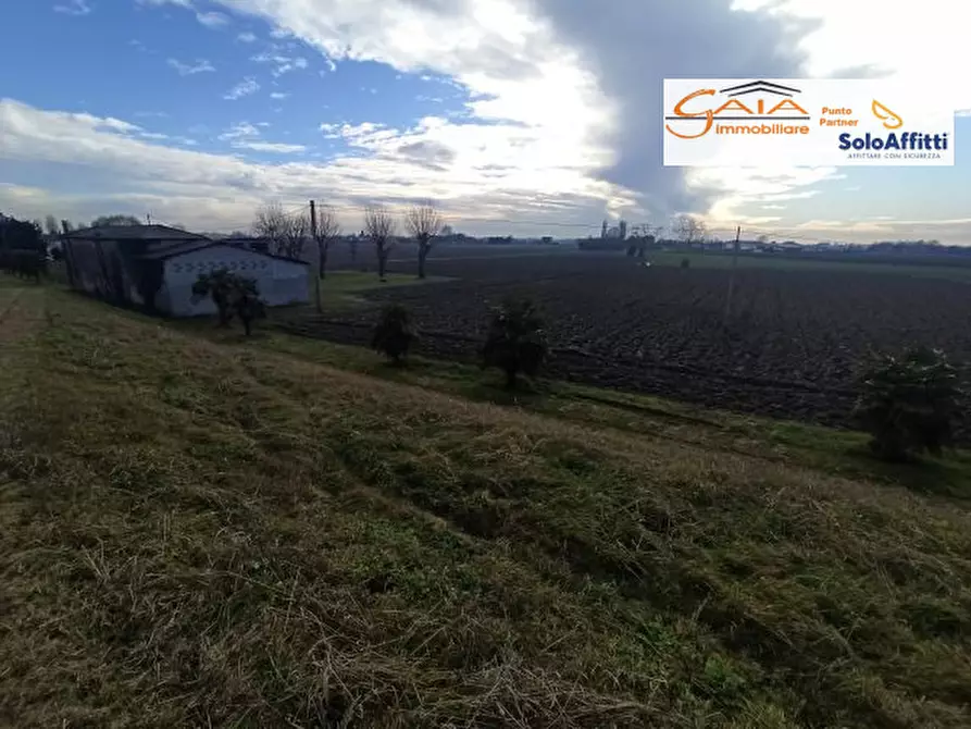 Immagine 10 di Rustico / casale in vendita  a Cartura