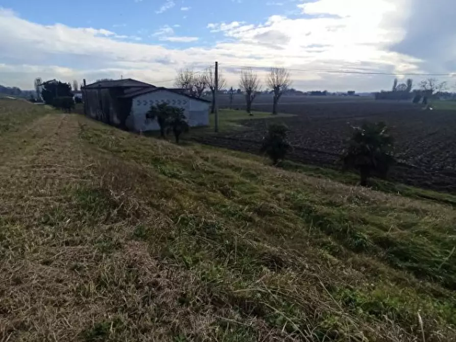 Immagine 11 di Rustico / casale in vendita  a Cartura