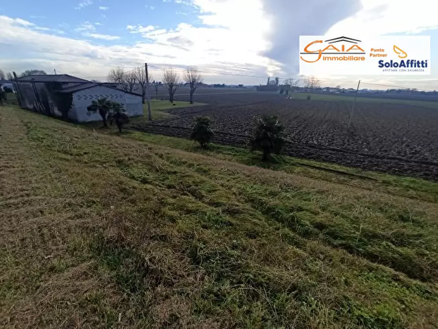 Immagine 12 di Rustico / casale in vendita  a Cartura