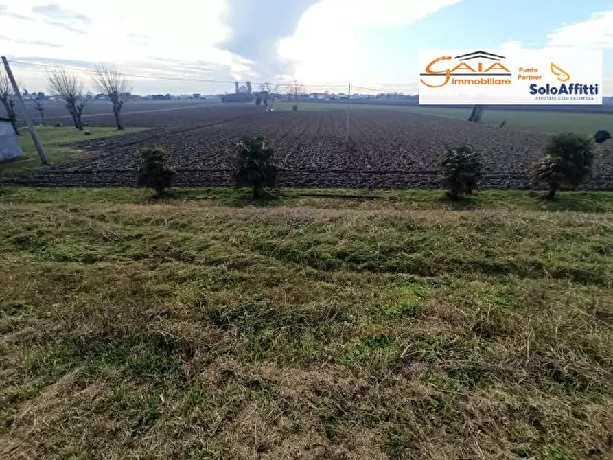 Immagine 13 di Rustico / casale in vendita  a Cartura