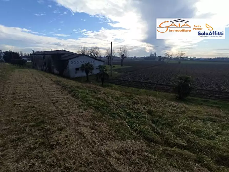 Immagine 14 di Rustico / casale in vendita  a Cartura