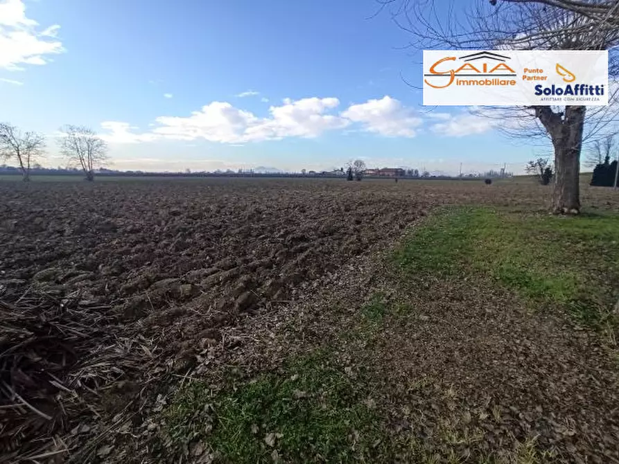 Immagine 20 di Rustico / casale in vendita  a Cartura