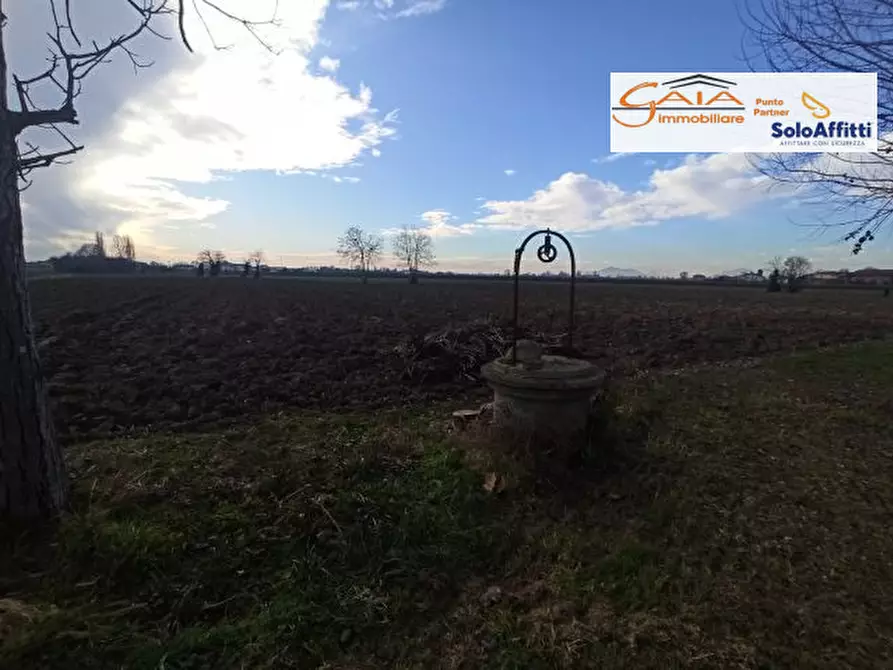 Immagine 21 di Rustico / casale in vendita  a Cartura