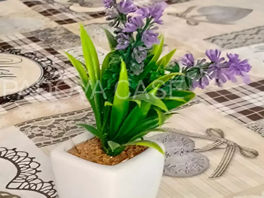 Immagine 12 di Attico in vendita  a Massa Lombarda